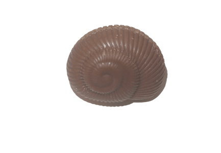 Praliné Café Enrobage lait
